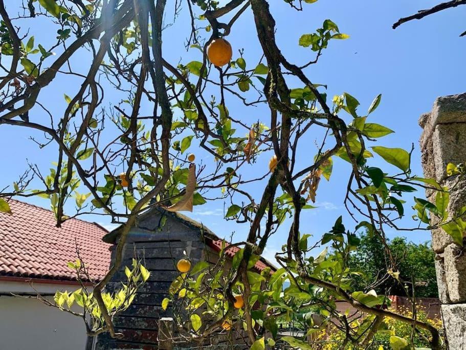 Casa Gerente Βίλα Muros Εξωτερικό φωτογραφία